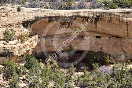Cliff dwellings in Mesa Verde, Colorado.