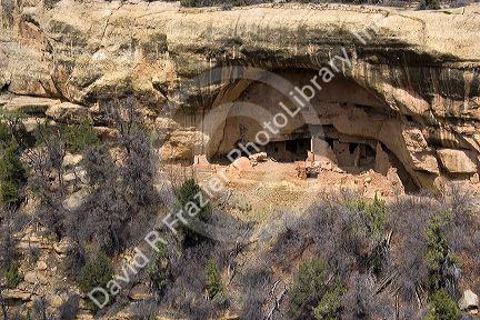 Cliff dwellings in Mesa Verde, Colorado.
