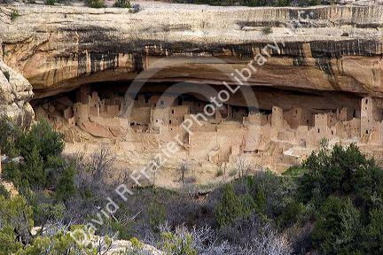 Cliff dwellings in Mesa Verde, Colorado.