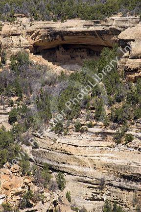 Cliff dwellings in Mesa Verde, Colorado.