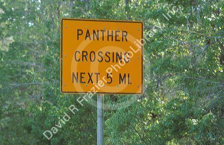 Panther crossing sign on highway 29 on the edge of the Florida everglades.