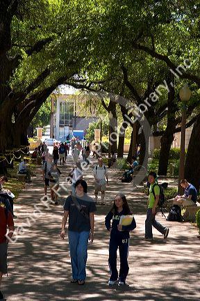Students walking on the campus of University of Texas in Austin.