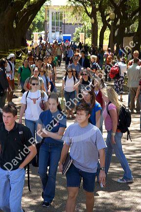 Students walking and using cell phones on the campus of University of Texas in Austin.
