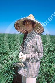 Hispanic female migrant worker weeding sugar beets.