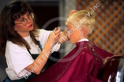A young boy getting a haircut. MR