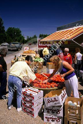 Customers shop at a fruit and vegetable stand.