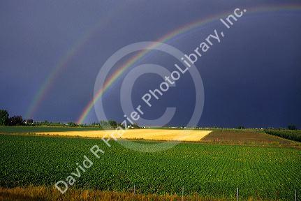 A rainbow and agriculture.