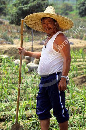 A ginger farmer in Taiwan.