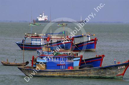 Colorful fishing boats in Vung Tau, Vienam.