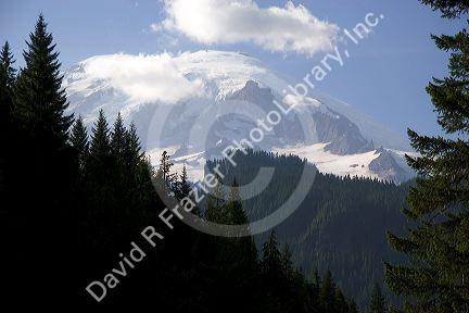 Mt. Rainier in Mt. Rainier National Park, Washington.