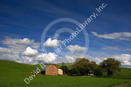 Eastern washington wheat farm with rolling hills and clouds.