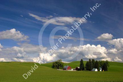 Eastern washington wheat farm with rolling hills and clouds.