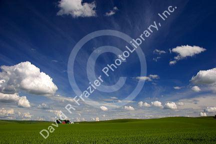 Eastern washington pea farm with rolling hills and clouds.