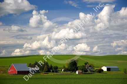 Eastern washington wheat farm with rolling hills and clouds.