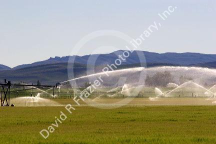 Sprinkler pivot irrigation near Bellevue, Idaho.