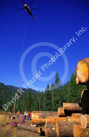 Helicopter logging in the Boise National Forest, Idaho.