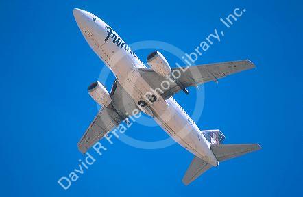 Frontier Airlines boeing 737 in flight.