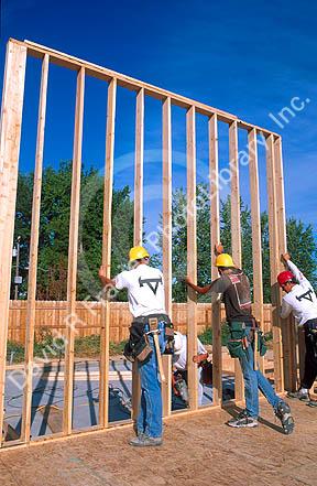 Carpenters lifting stud wall into place.