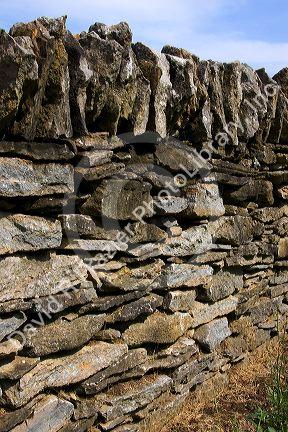 Rock fences in the blue grass country near Lexington, Kentucky.
