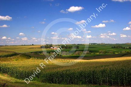 Farmland along US 6 in west central Iowa.