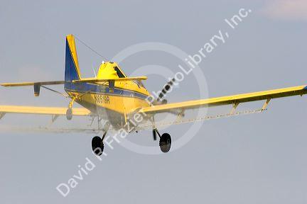 A crop duster spraying a corn field with insecticide west of Danville, Iowa.