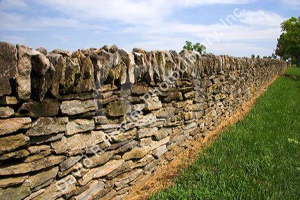 Rock fences in the blue grass country near Lexington, Kentucky.