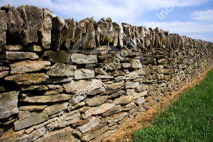 Rock fences in the blue grass country near Lexington, Kentucky.