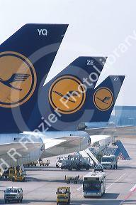 Luftansa airlines tails at Frankfurt, Germany.