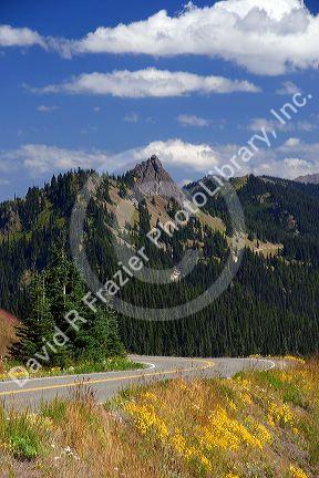 A view of Elk Mountain taken from Hurricane Ridge in Olympic National Park, Washington.