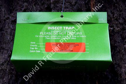 An insect trap placed by scientists to determine which insects are present in an area.  This one was placed in the Mount Rainier National Park, Washington.