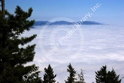 Looking down at clouds from Mt. Walker in  Olympic National Forest, Washington.