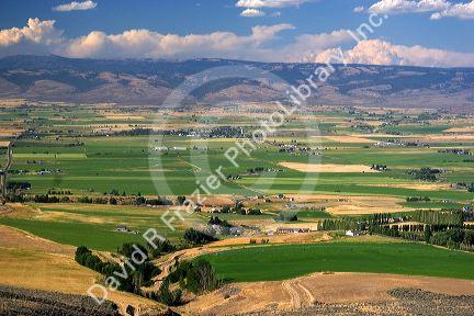 Farms and agriculture at Ellensburg, Washington.