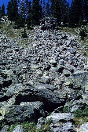Boulder field formed by rock freezing and cracking, Wyoming.