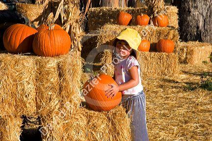 A young girl choosing pumpkins from a farm near San Rafael, California.