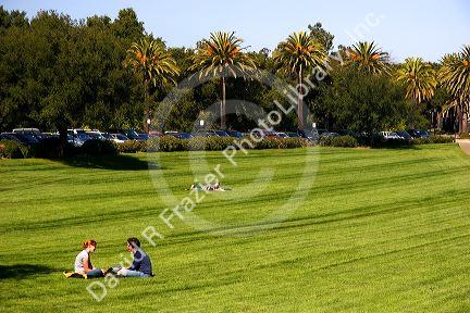 The campus at Stanford University in Palo Alto, California, along Palm Drive.