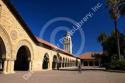 Arched portico of the Main Quadrangle at the campus at Stanford University in Palo Alto, California. Hoover tower in the background.