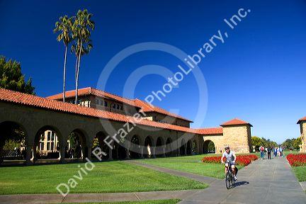 The campus at Stanford University in Palo Alto, California.