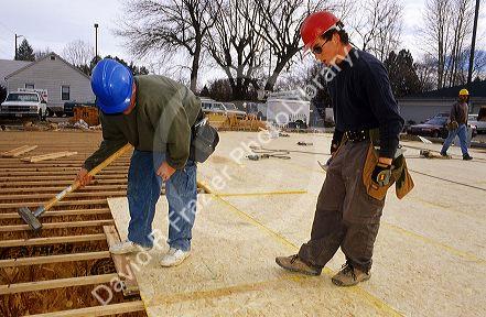 Construction workers install tongue and groove sub-floor in a new home.