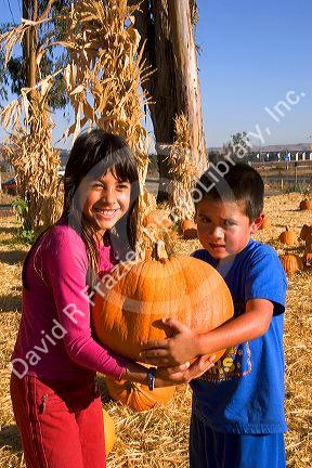 Children choosing pumpkins from a farm near San Rafael, California.