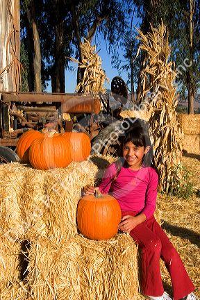 A young girl choosing pumpkins from a farm near San Rafael, California.