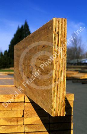 The end view of a laminated header. Engineered lumber product.