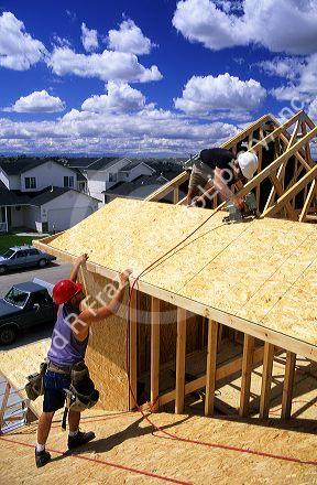 Carpenters install roof sheathing during the construction of a new home.