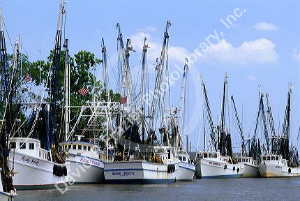 A fleet of shrimp boats in Darien, Georgia.