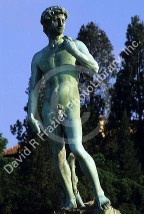 Michelangelo's statue of David in Florence, Italy.