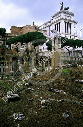 The Forum in Rome, Italy.