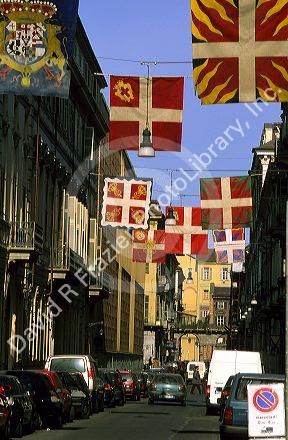 Guild flags in Turin, Italy.