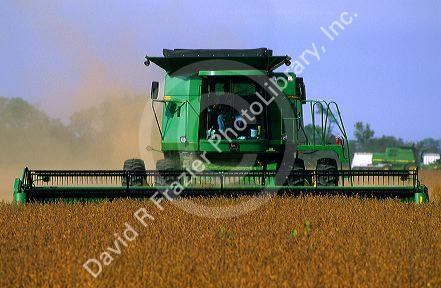 Soybean harvest in Indiana.