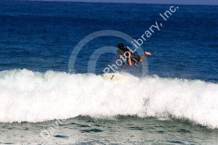 Surfing on waves in the pacific ocean off the island of Maui, Hawaii.