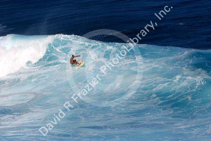 Surfing on waves in the pacific ocean off the island of Maui, Hawaii.