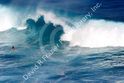 Swimmer surfing on waves in the pacific ocean off the island of Maui, Hawaii.